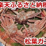 ふるさと納税の返礼品の松葉ガニ